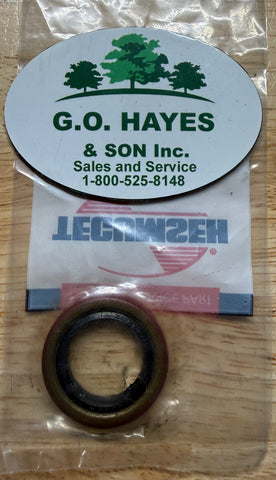 P021 Gear Box Seal older Style Walker Mower