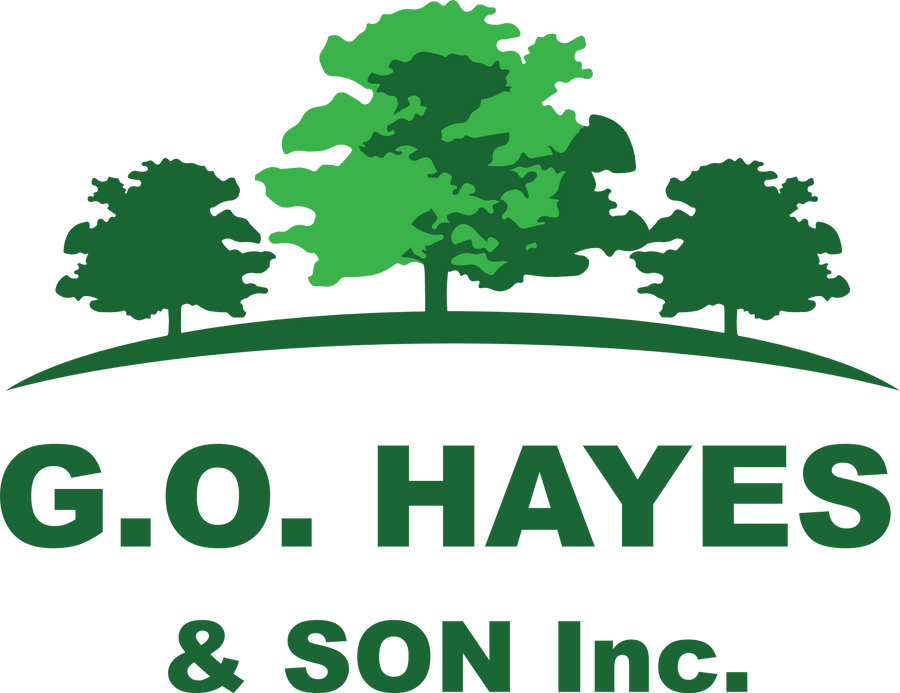 Walker Mower Sales Parts & Service, Maine, New Hampshire, Vermont
